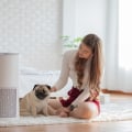 Which Air Filter is the Best for Removing Dust? The Best Room Air Filter for Dust