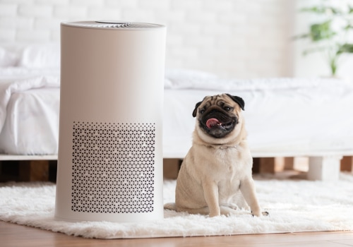 How to Choose the Right Air Filter for Your Home with Pets